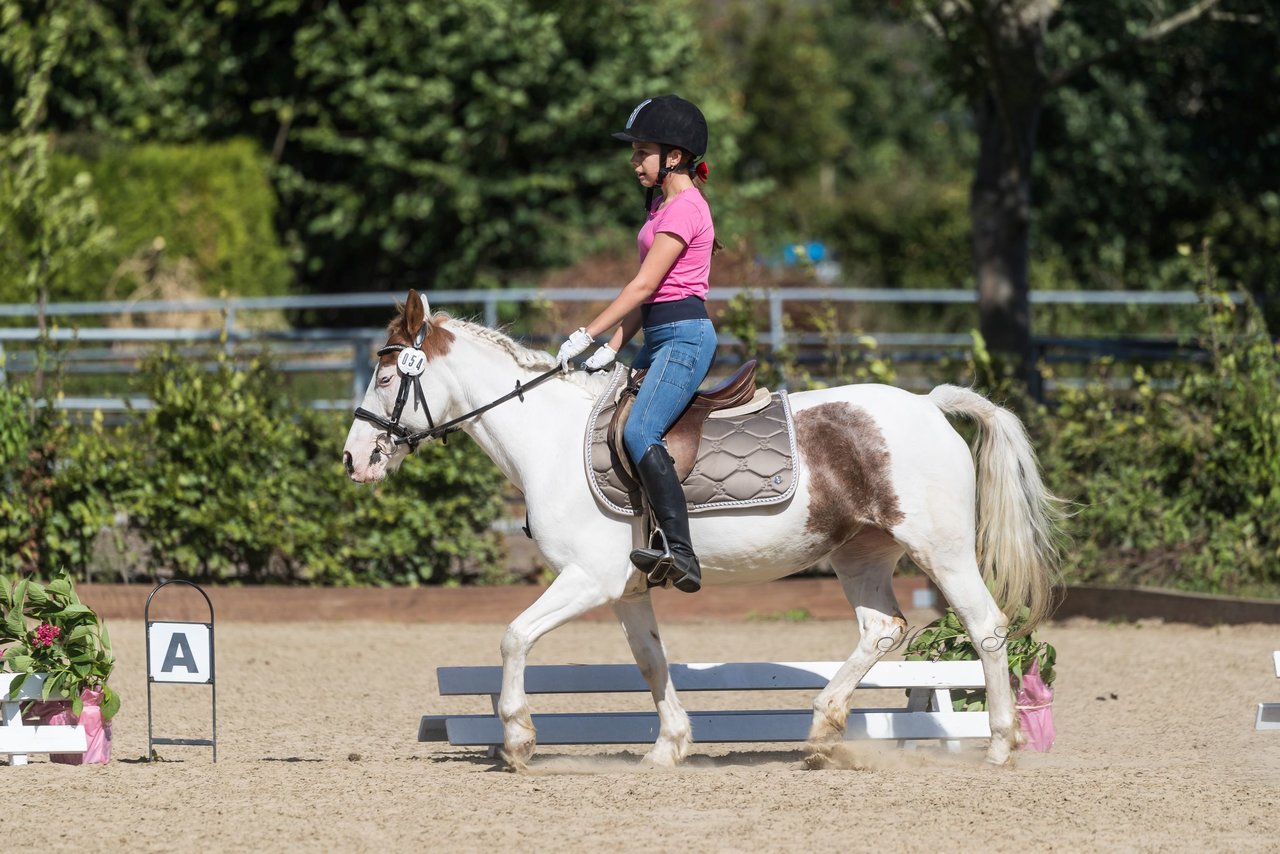 Bild 18 - Pony Akademie Turnier